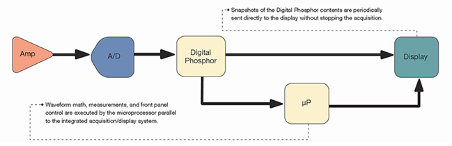 Architektur eines digitalen Phosphor-Oszilloskops