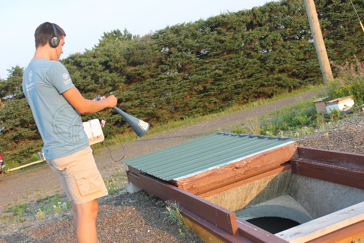 honeybee outside.jpg honeybee20outside